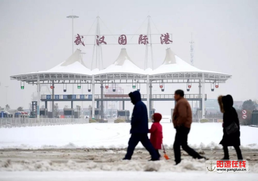 微信图片_20180129085427.jpg