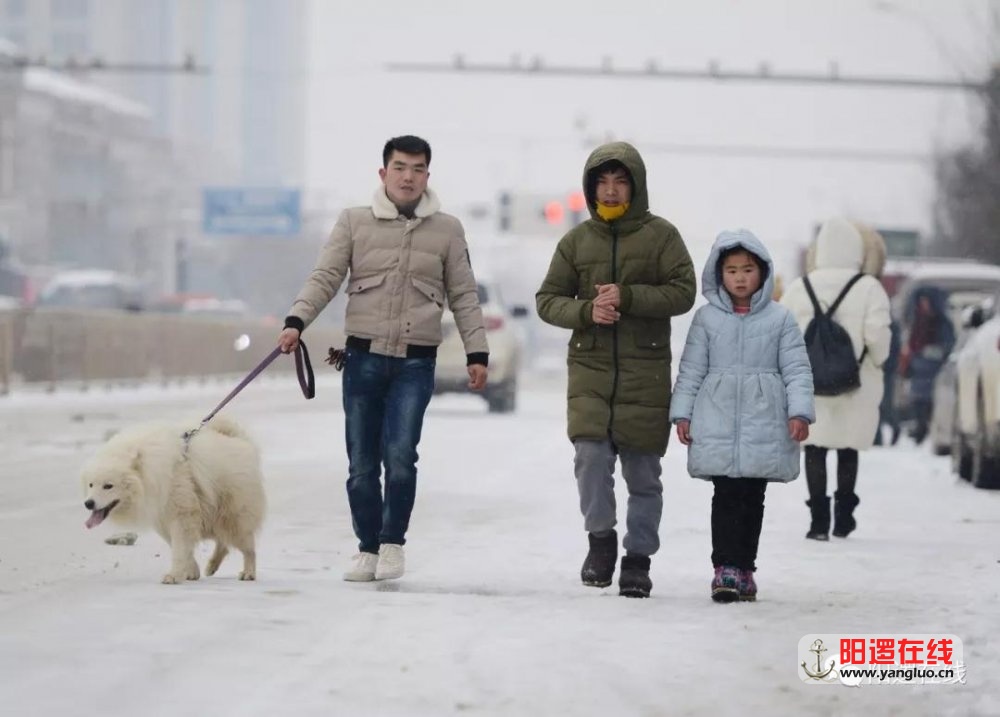 微信图片_20180129085532.jpg