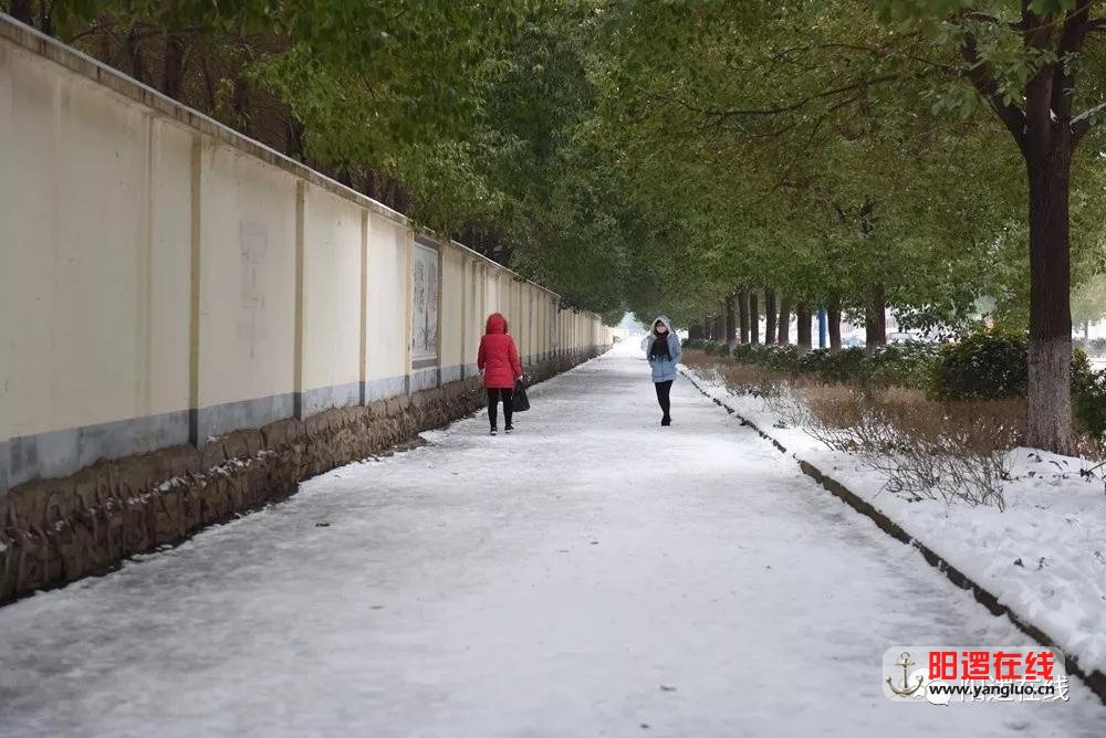 微信图片_20180129090111.jpg
