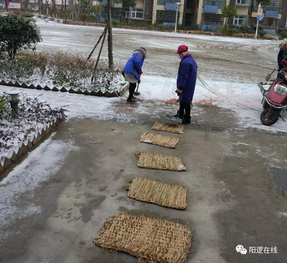微信图片_20180129093146.jpg