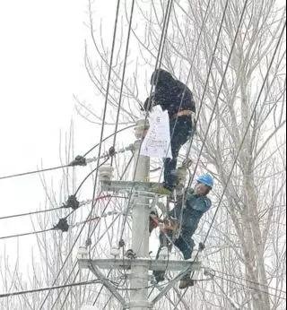 微信图片_20180129093322.jpg