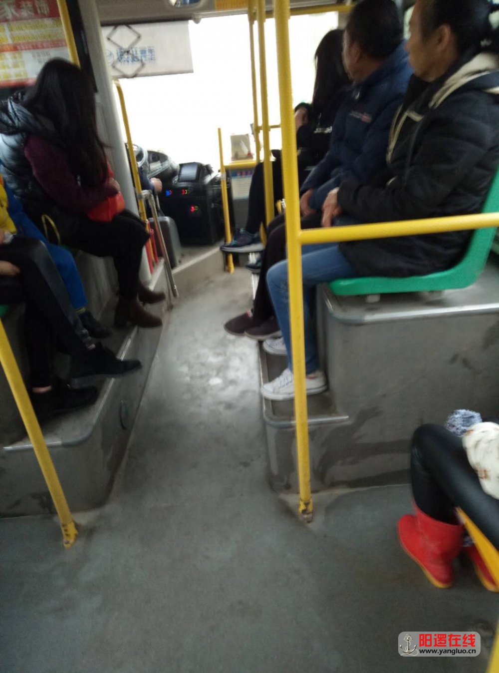 阳逻公交1.jpg