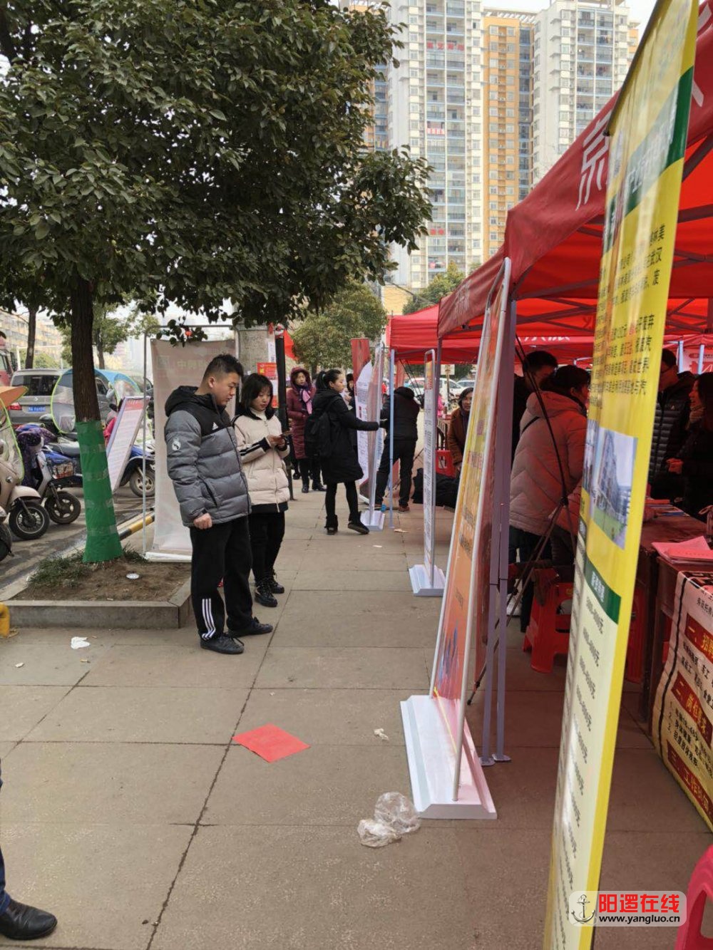 招聘2.jpg