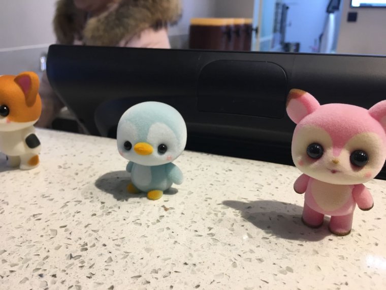 微信图片_20180301002133.jpg