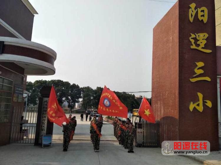 阳逻3小22.jpg