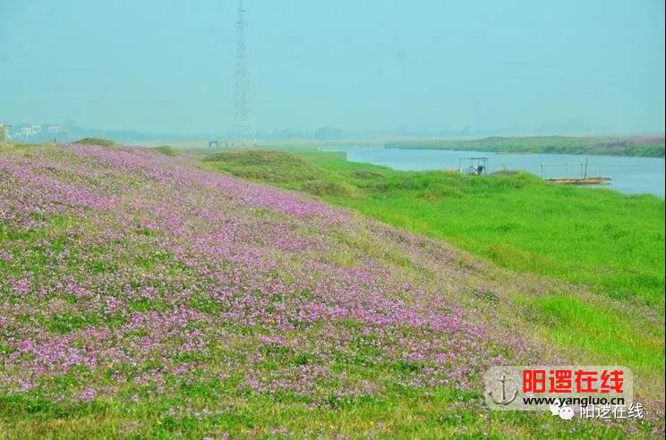 微信图片_20180402093827.jpg