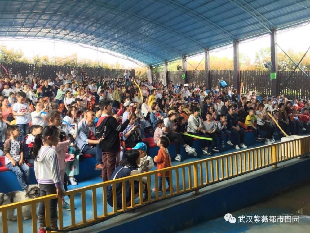 微信图片_20180404093619.jpg