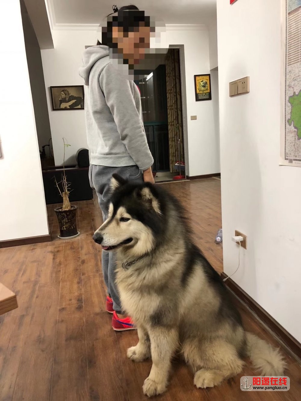 QQ图片20180410111155.jpg