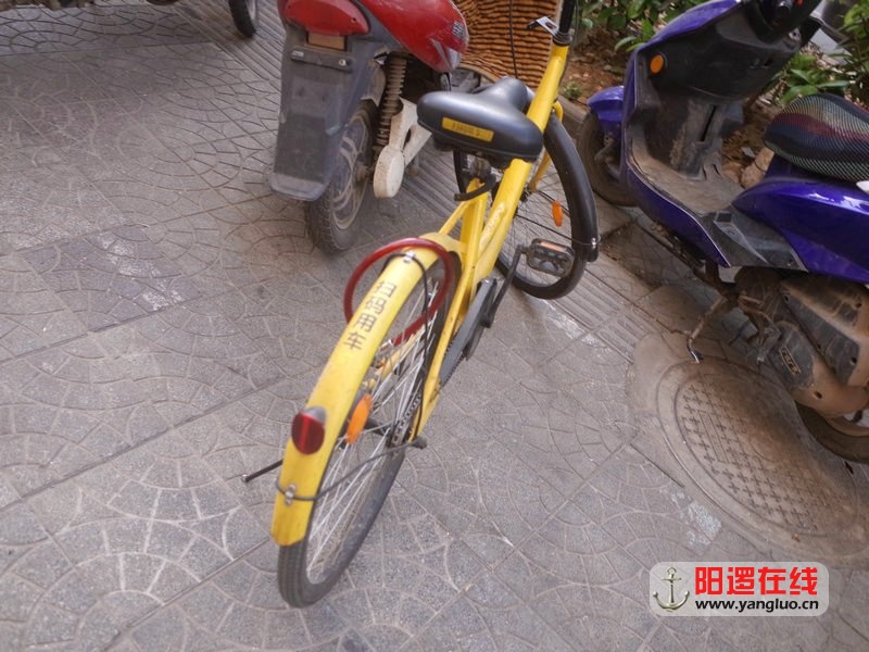 QN351491.JPG