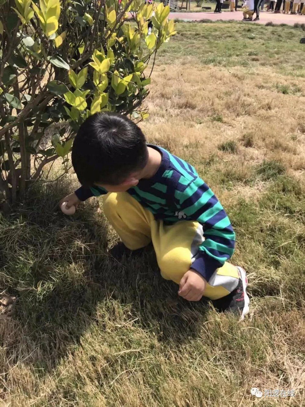 微信图片_20180425090447.jpg