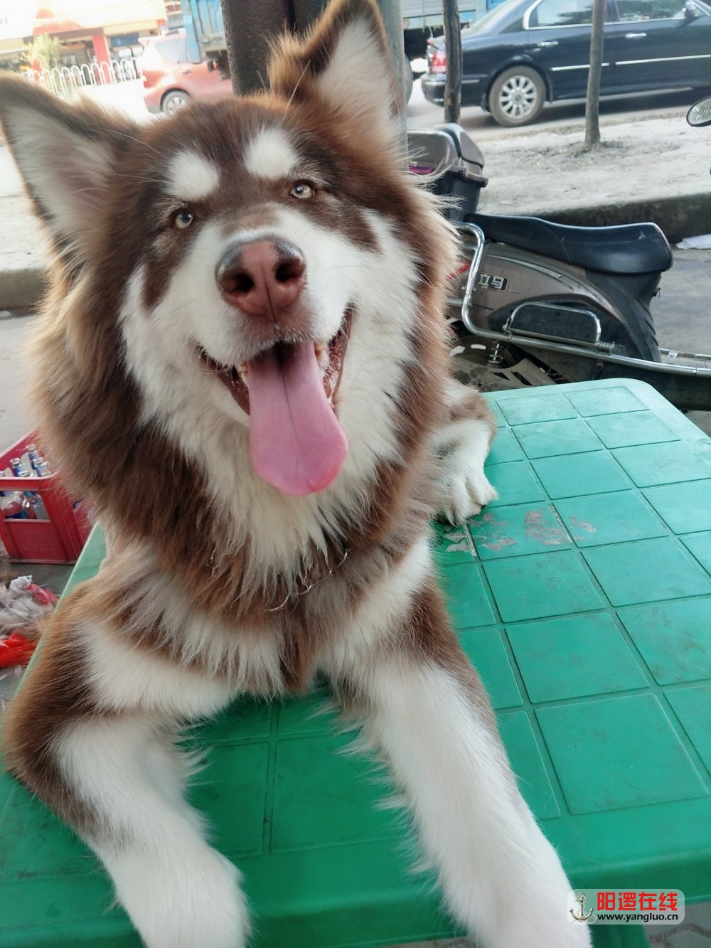 微信图片_20180429212316.jpg