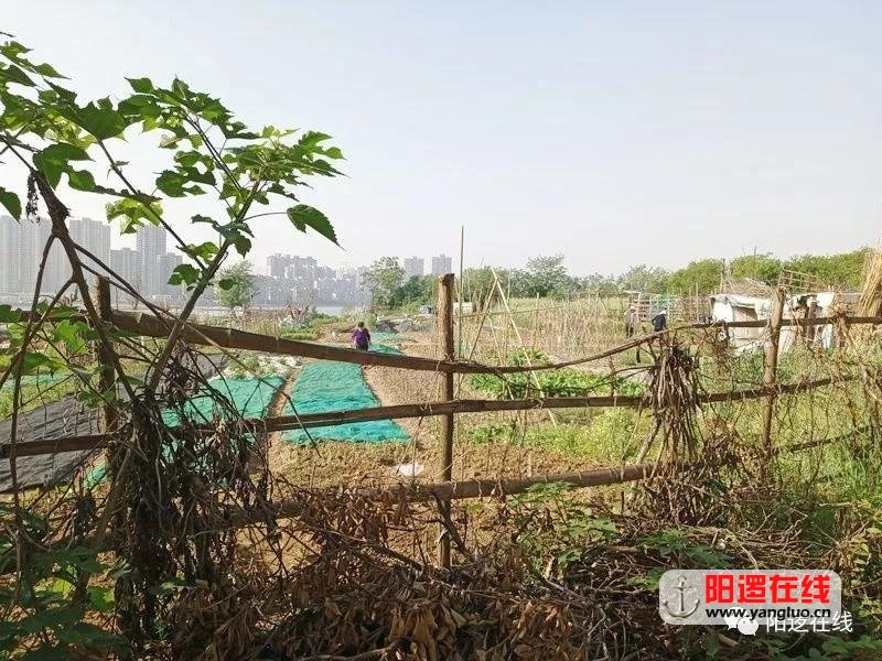 微信图片_20180507093801.jpg