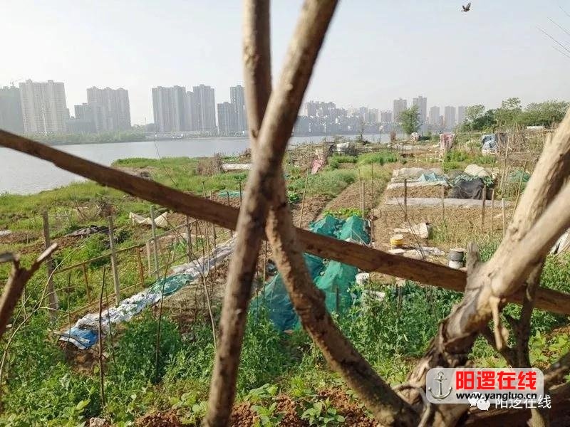 微信图片_20180507093746.jpg