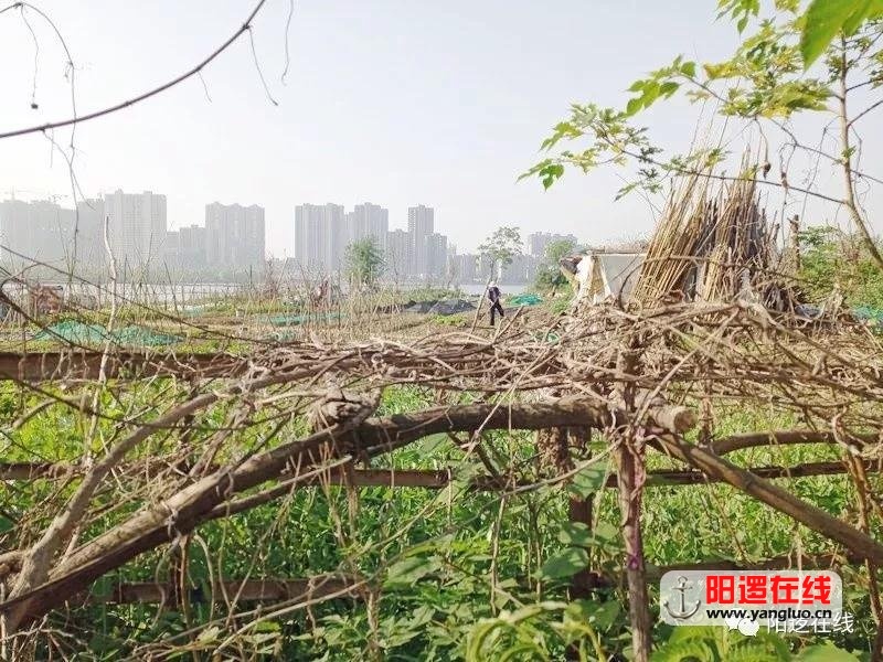 微信图片_20180507093749.jpg