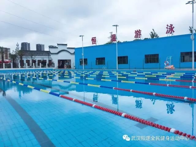 游泳7.jpg