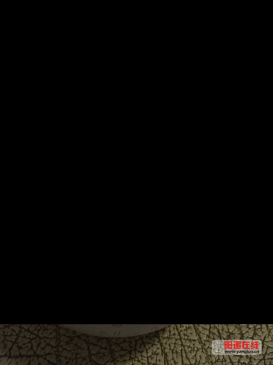 1527953103559.jpg