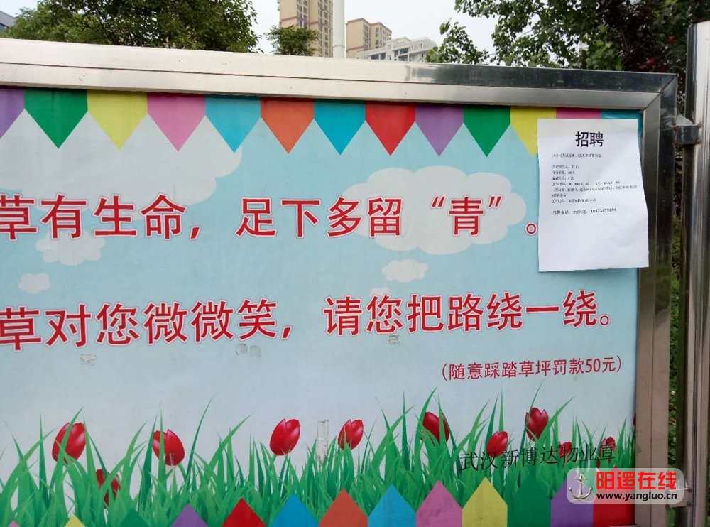 于3.jpg