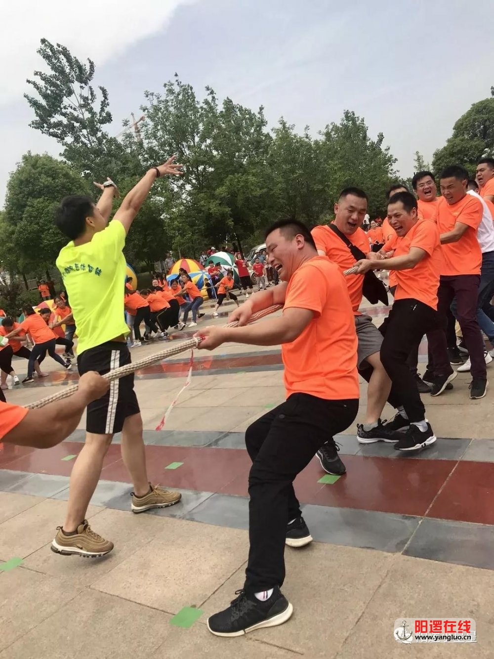 微信图片_20180611094954.jpg