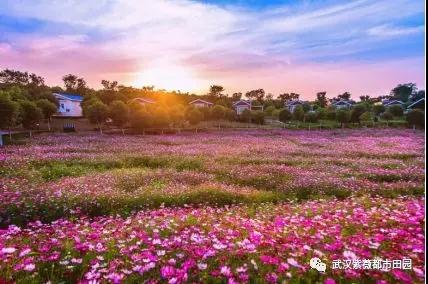 微信图片_20180617150815.jpg