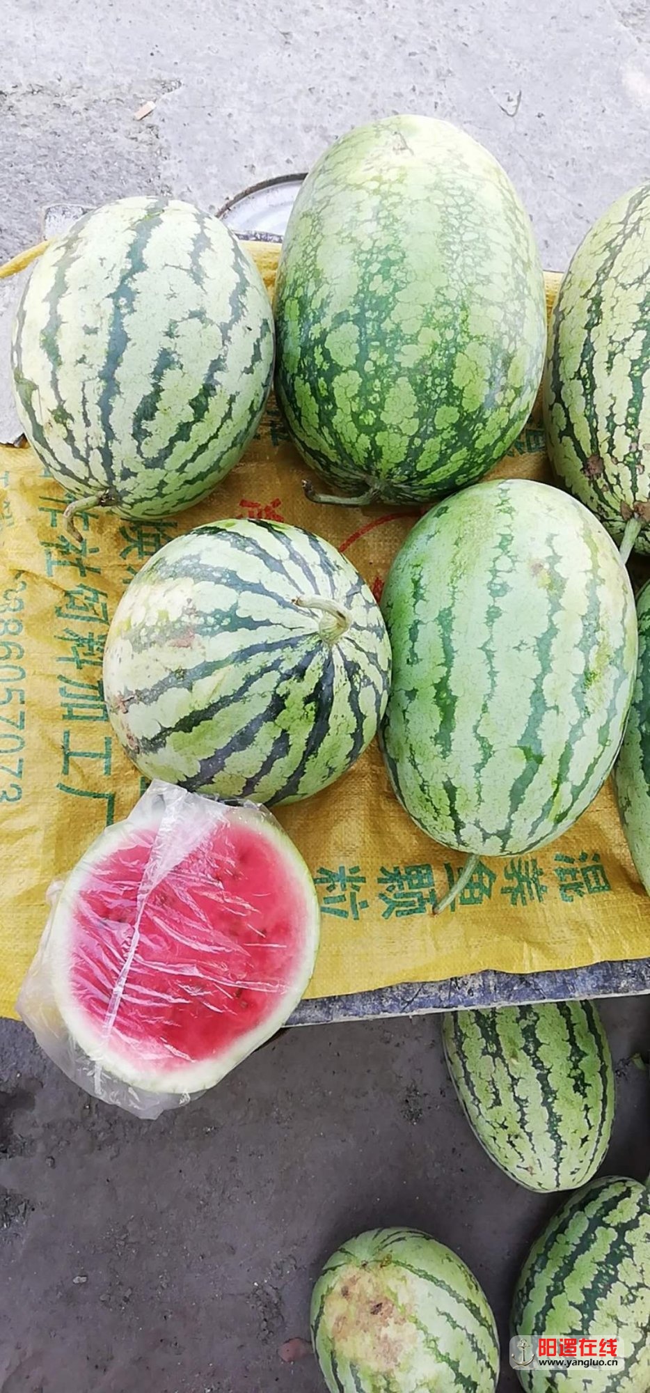 微信图片_20180627101312.jpg
