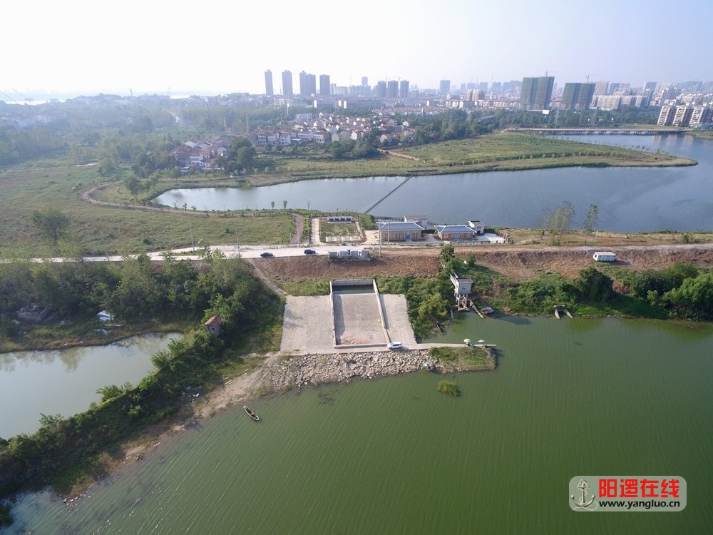 阳逻鄢家湖泵站航拍.jpg