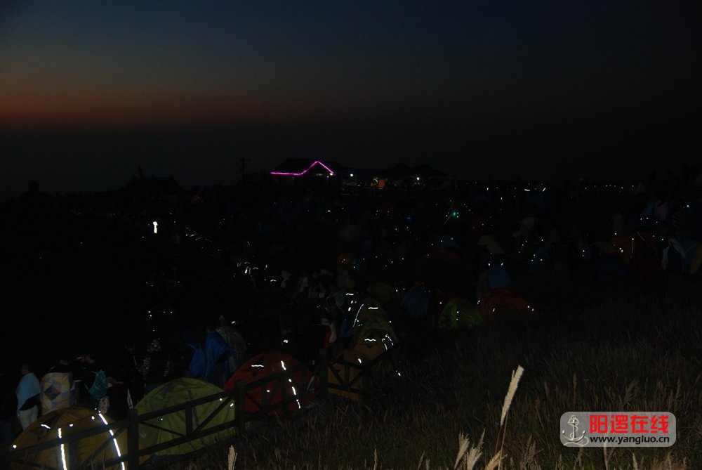 DSC_7840.JPG