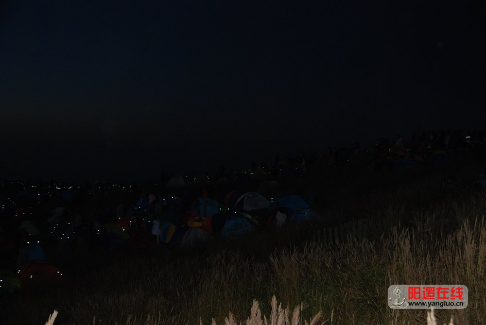 DSC_7842.JPG
