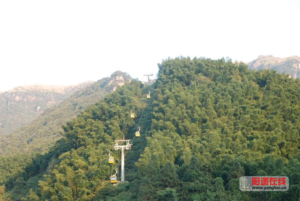 DSC_7823.JPG