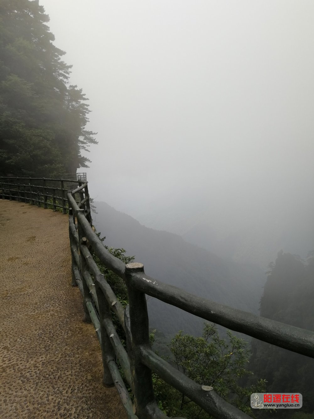 IMG_20180710_123257.jpg
