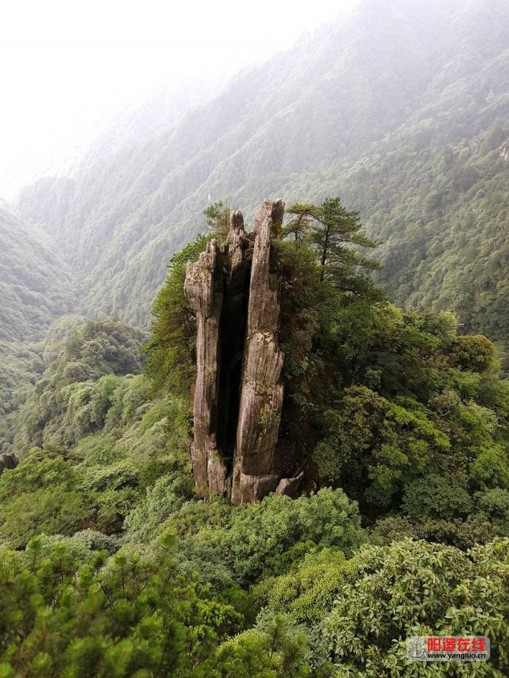 羊狮幕大峡谷图片图片