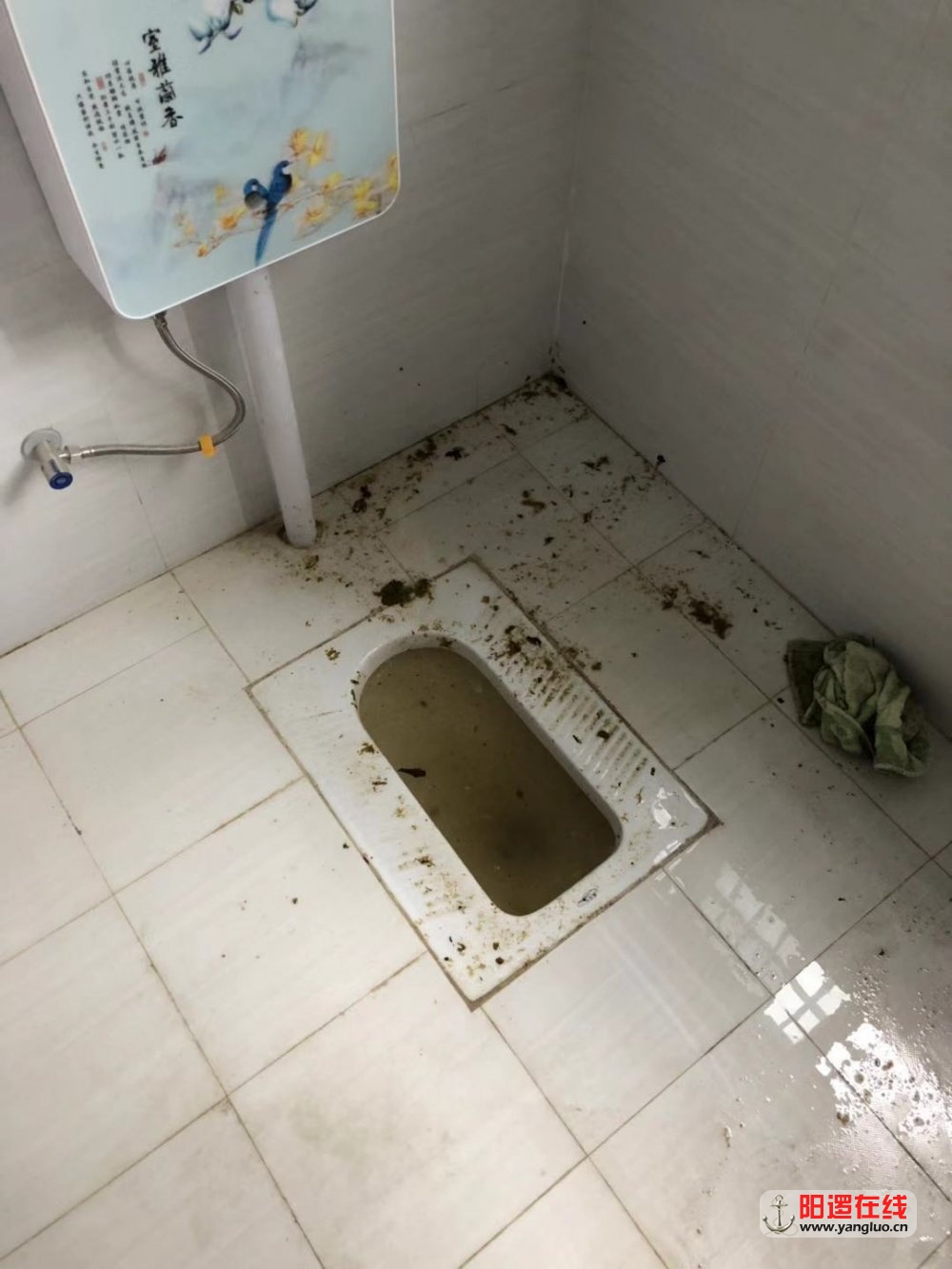 下雨天一楼污水倒灌
