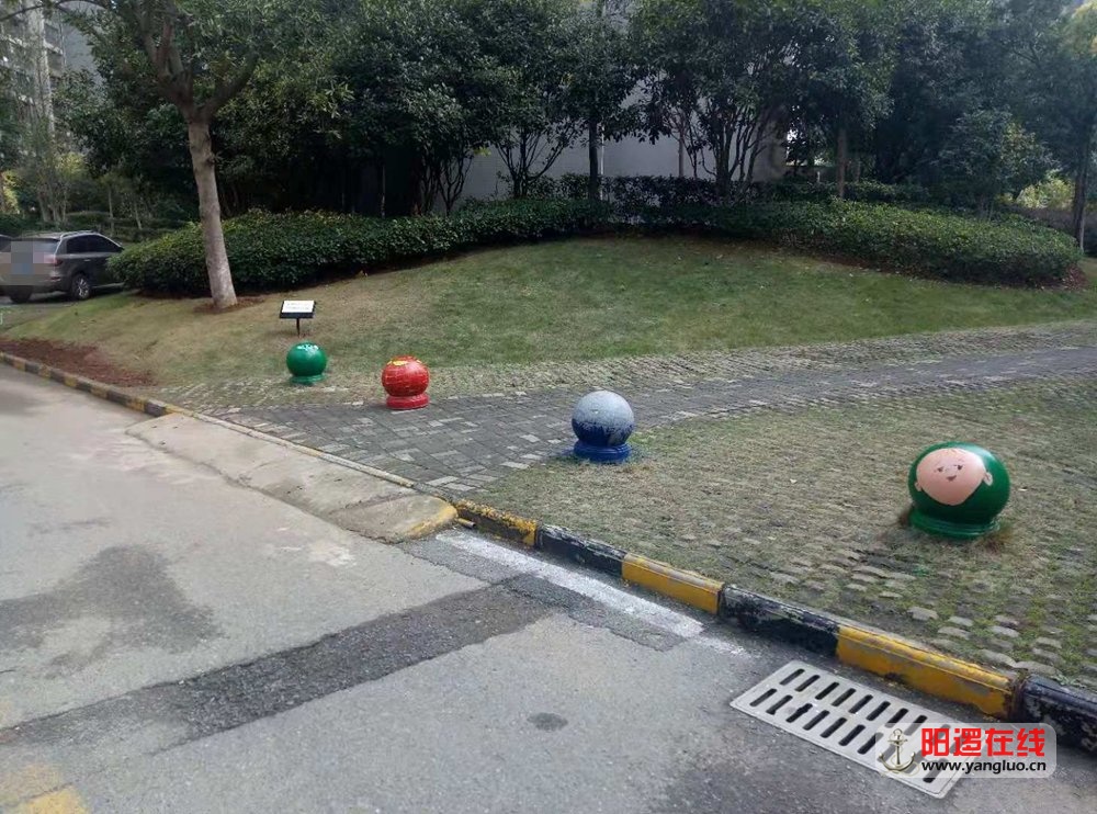 报4.jpg