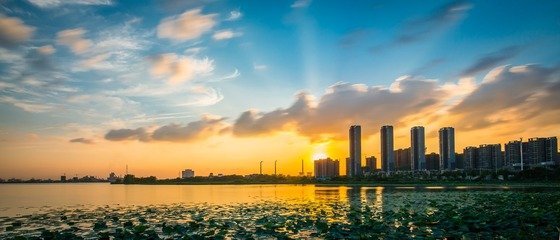 阳逻柴泊湖.jpg
