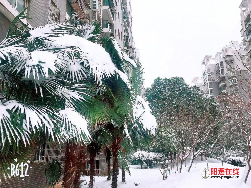 微信图片_20181230141622.jpg