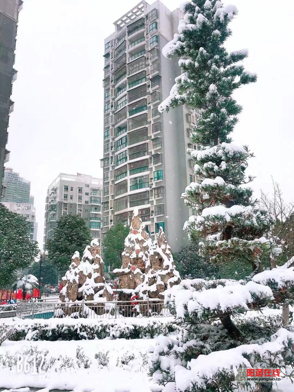 微信图片_20181230141625.jpg