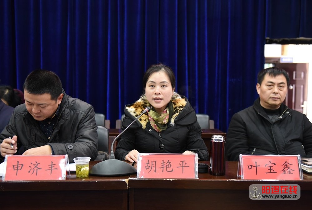 民盟会员、阳逻街道办副主任胡艳平