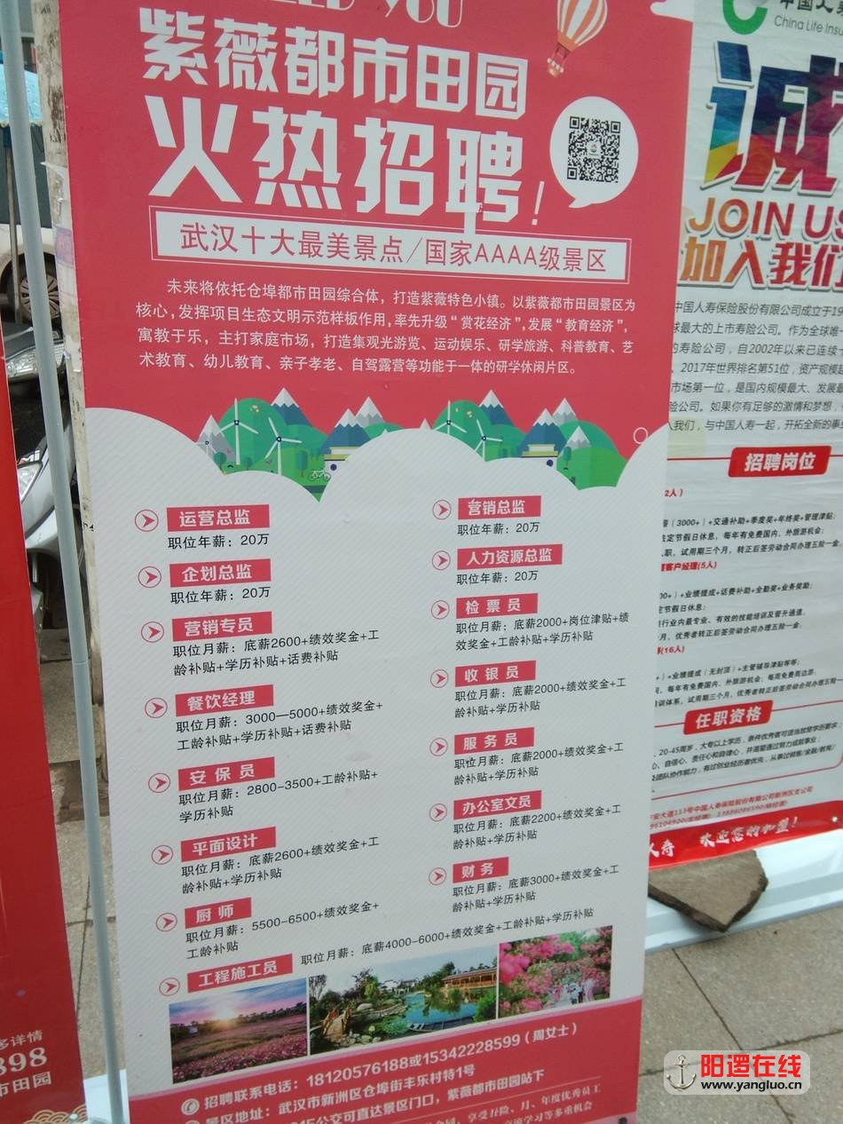 IMG_20190213_085202.jpg