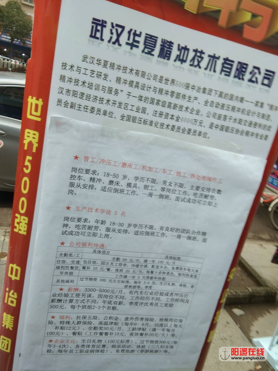 IMG_20190213_105519.jpg