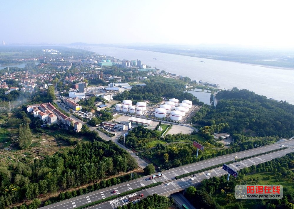 阳逻油库.jpg