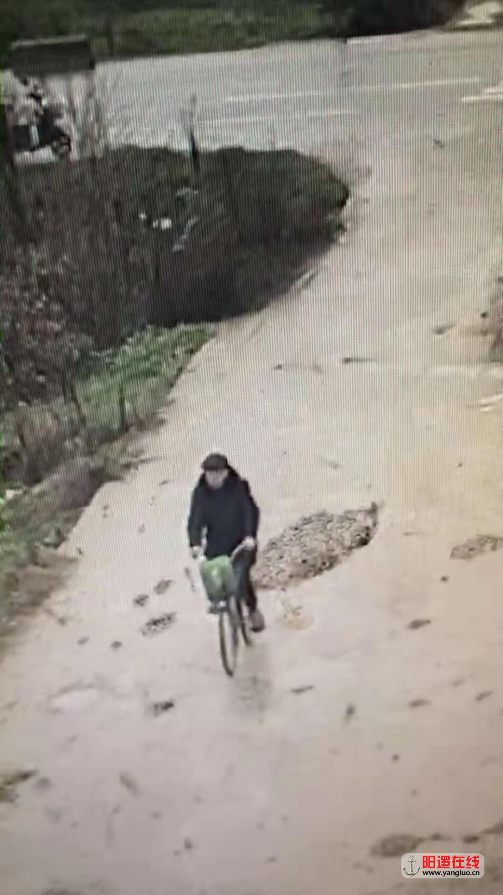 微信图片_20190221113539.jpg
