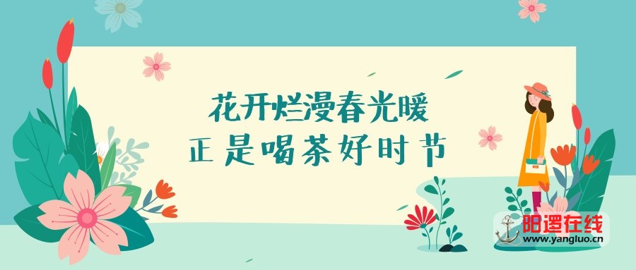 四季青.jpg