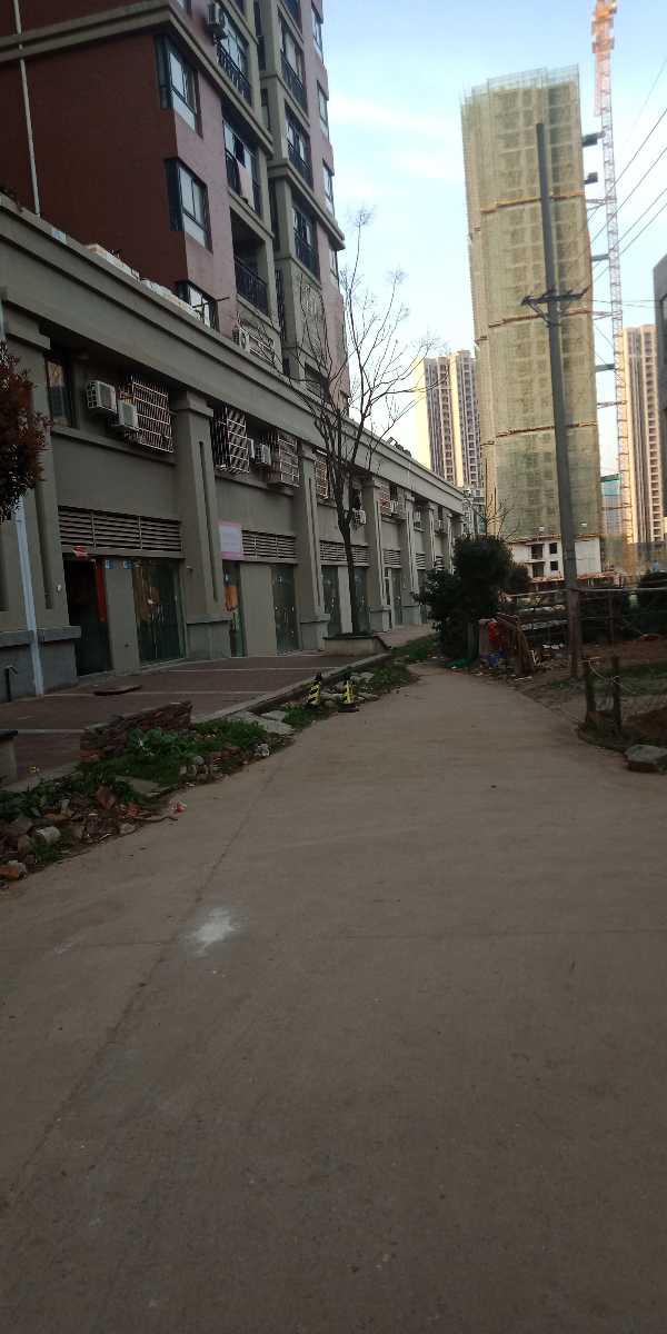 IMG20190325172745.jpg