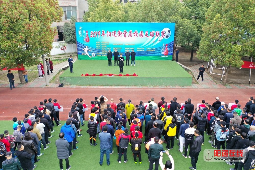 阳逻教育总支干事叶宝鑫致开幕辞