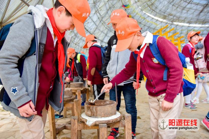 微信图片_20190403085422.jpg