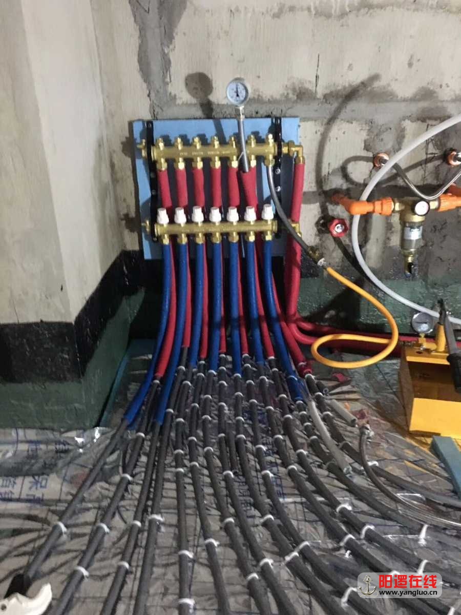 mmexport1555024979312.jpg