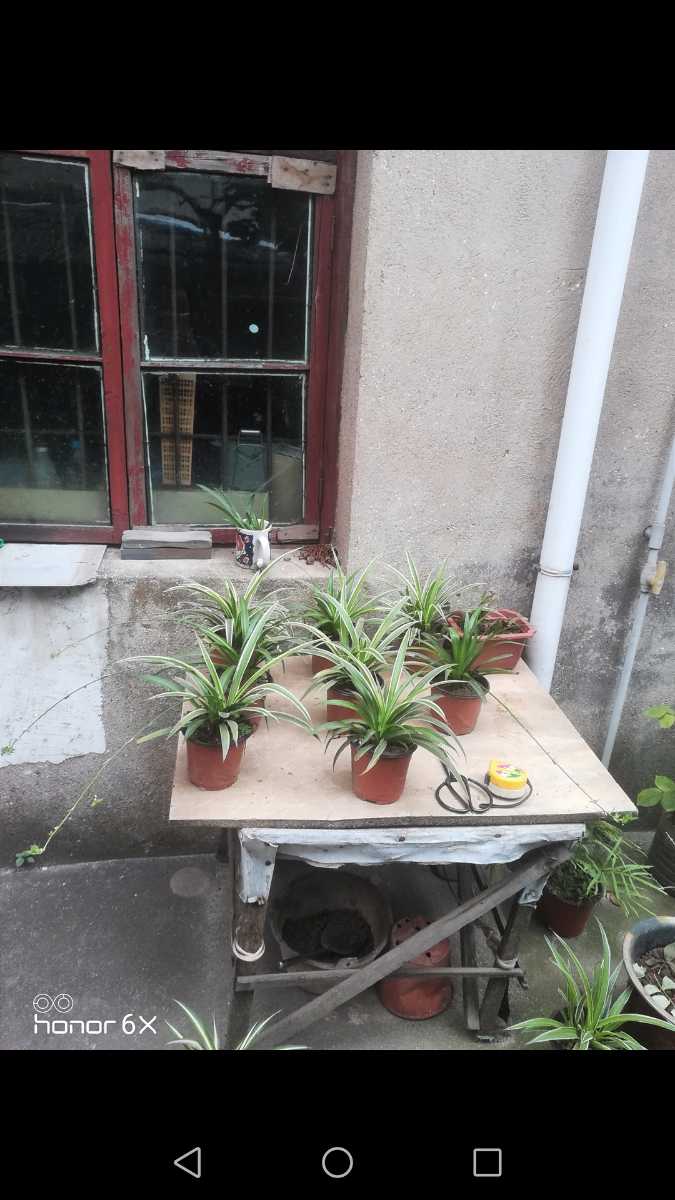 Screenshot_20190514-111639.jpg