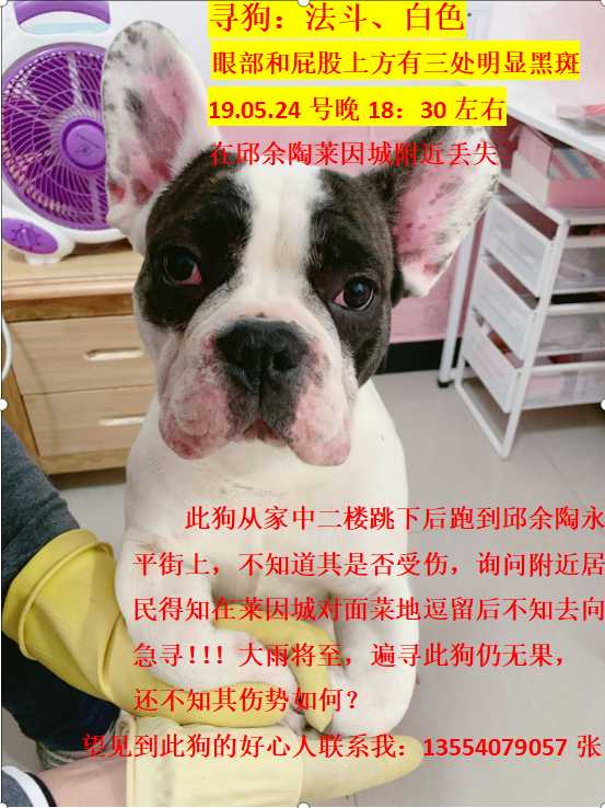 0D9080E7-A1FF-42E8-8090-CE572171C4F5.png