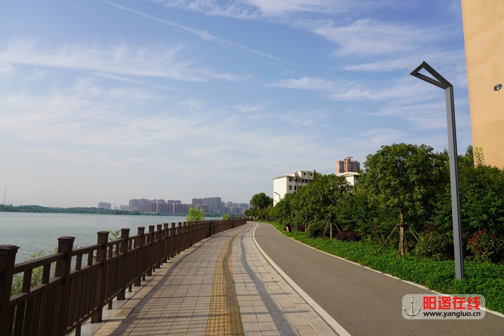 柴泊湖绿道4.jpg