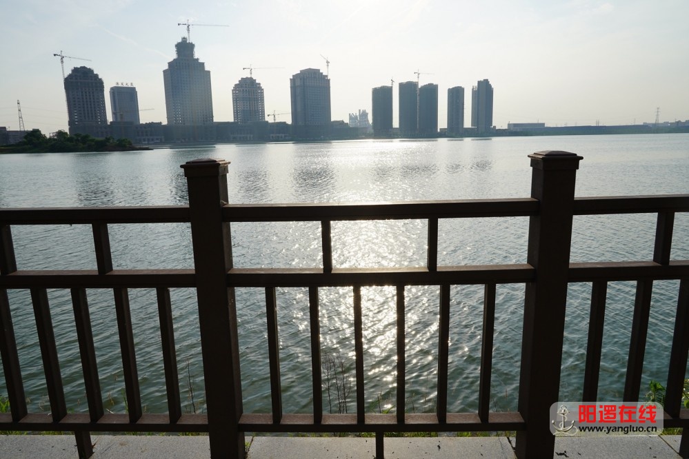 柴泊湖绿道5.jpg