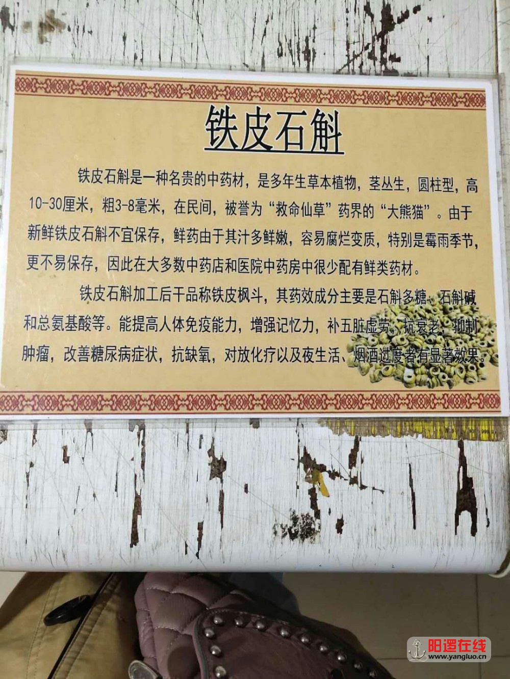 微信图片_20090811012048.jpg